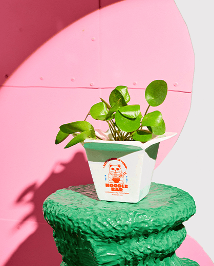 Cache-Pots