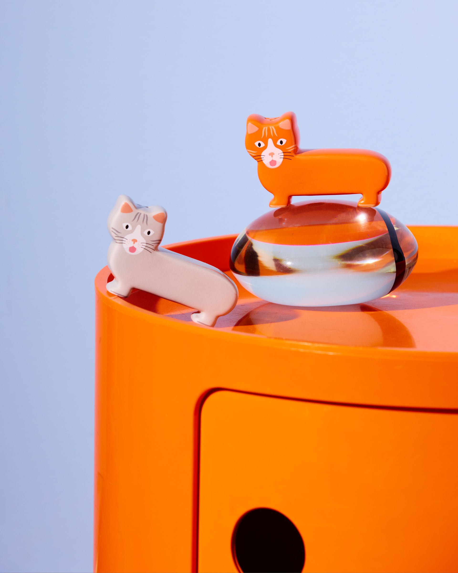 Sel et poivre Chat (Fluid Market X Thomas Gravereau)