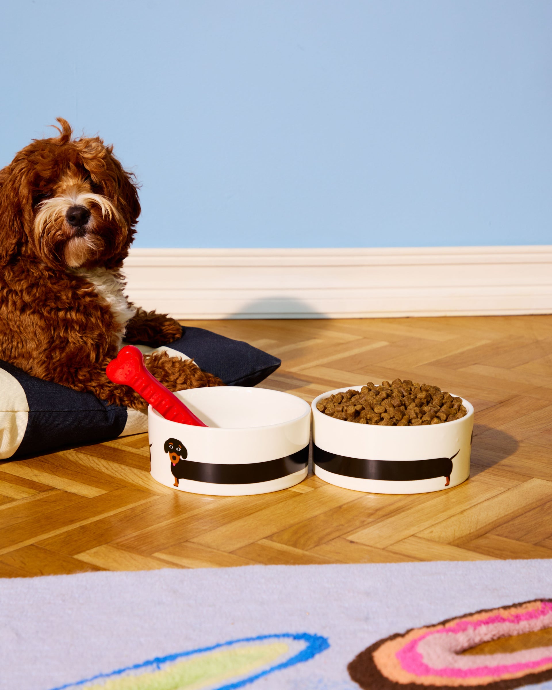 Dachshund Bowl (Fluid Market x Thomas Gravereau)