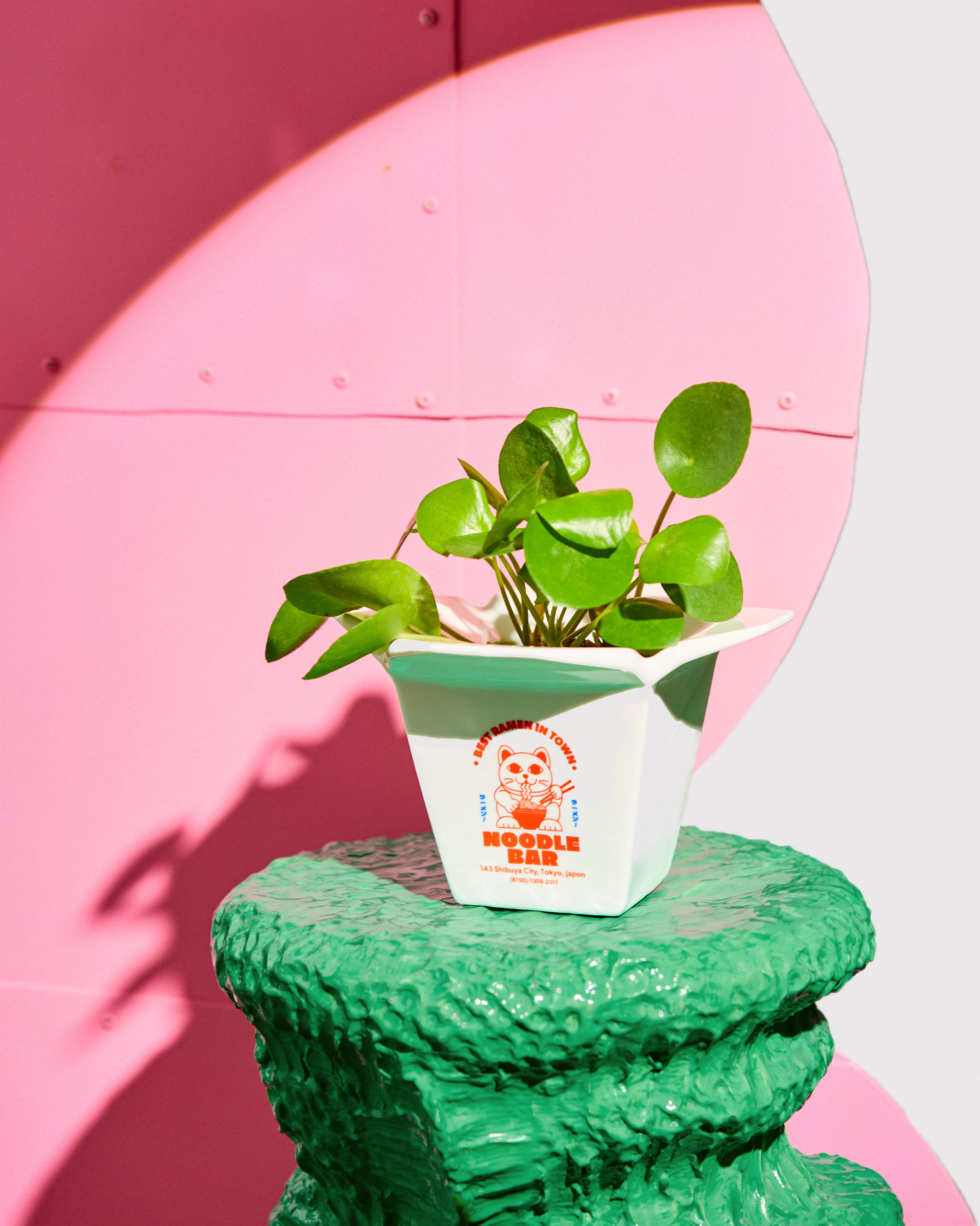 Ramen Vase Planter – Playful Decorative Vase | Fluid Market